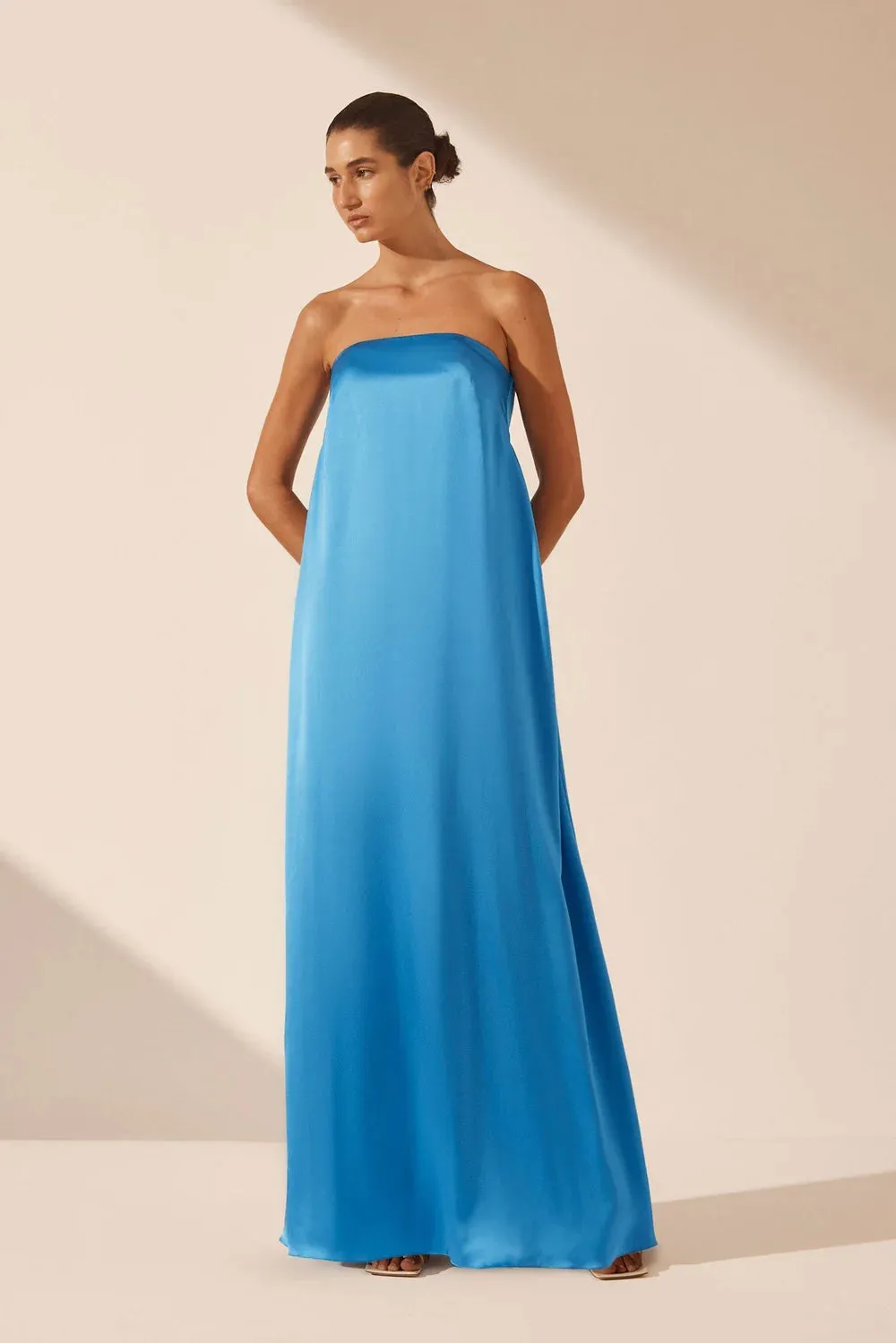 Ciel Silk Strapless Column Maxi Dress