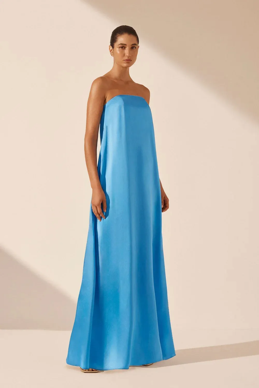 Ciel Silk Strapless Column Maxi Dress