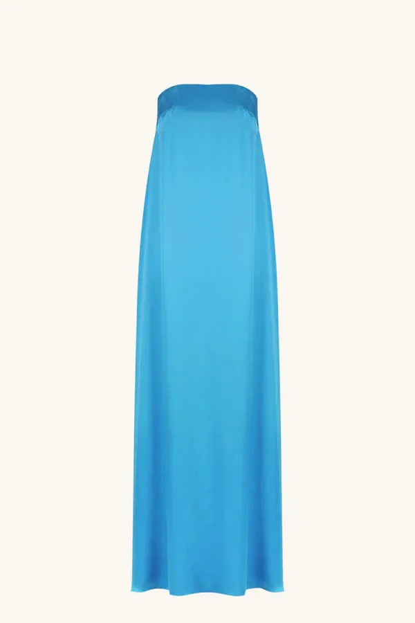 Ciel Silk Strapless Column Maxi Dress