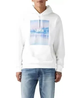 Levi's Men's Relaxed Graphic Hoodie