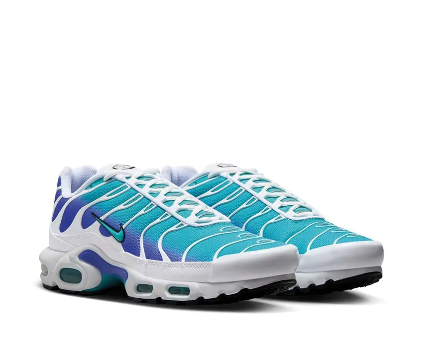 Nike Air Max Plus Aqua