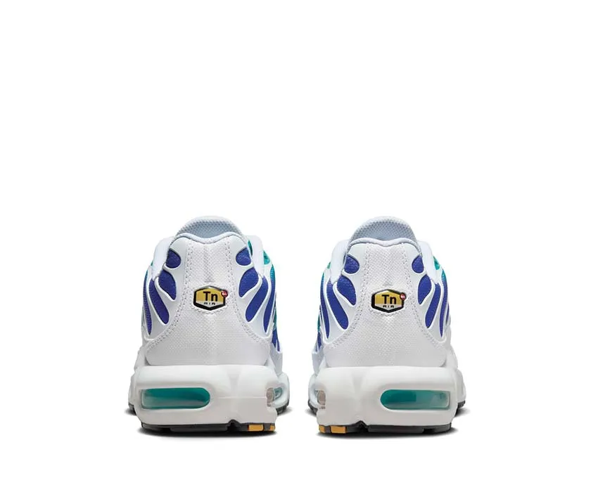 Nike Air Max Plus Aqua