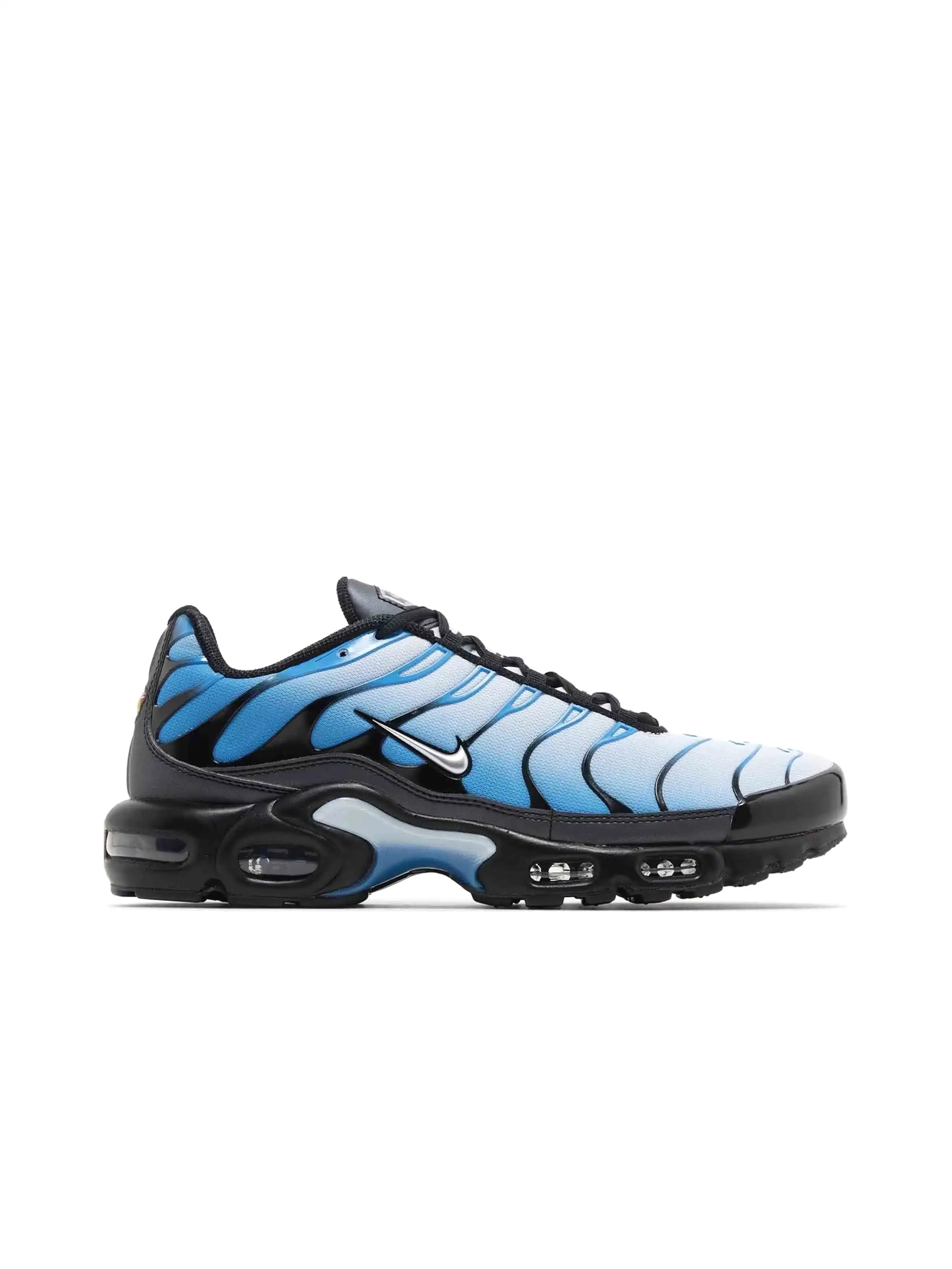 Nike Air Max Plus Blue Gradient