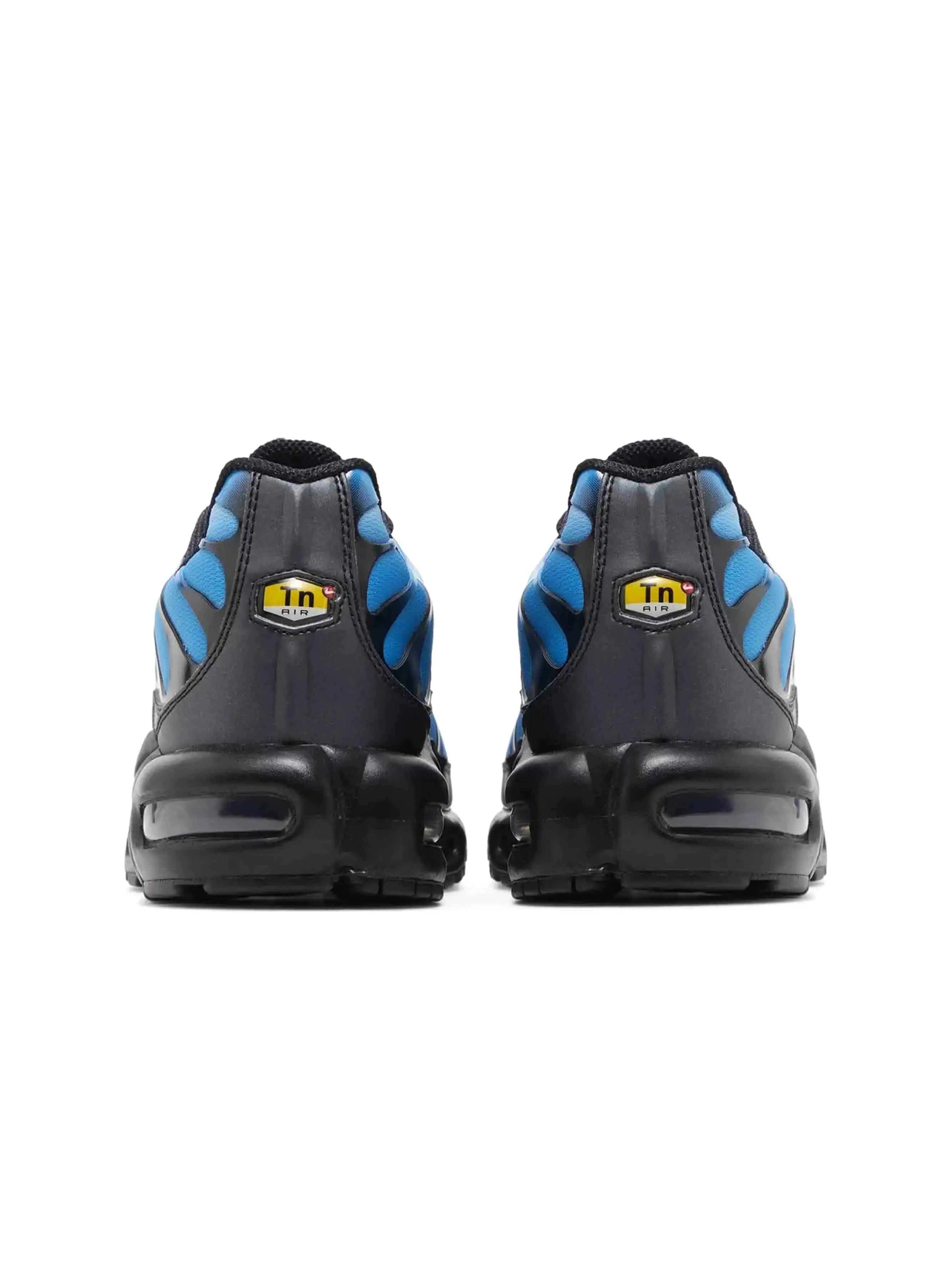 Nike Air Max Plus Blue Gradient