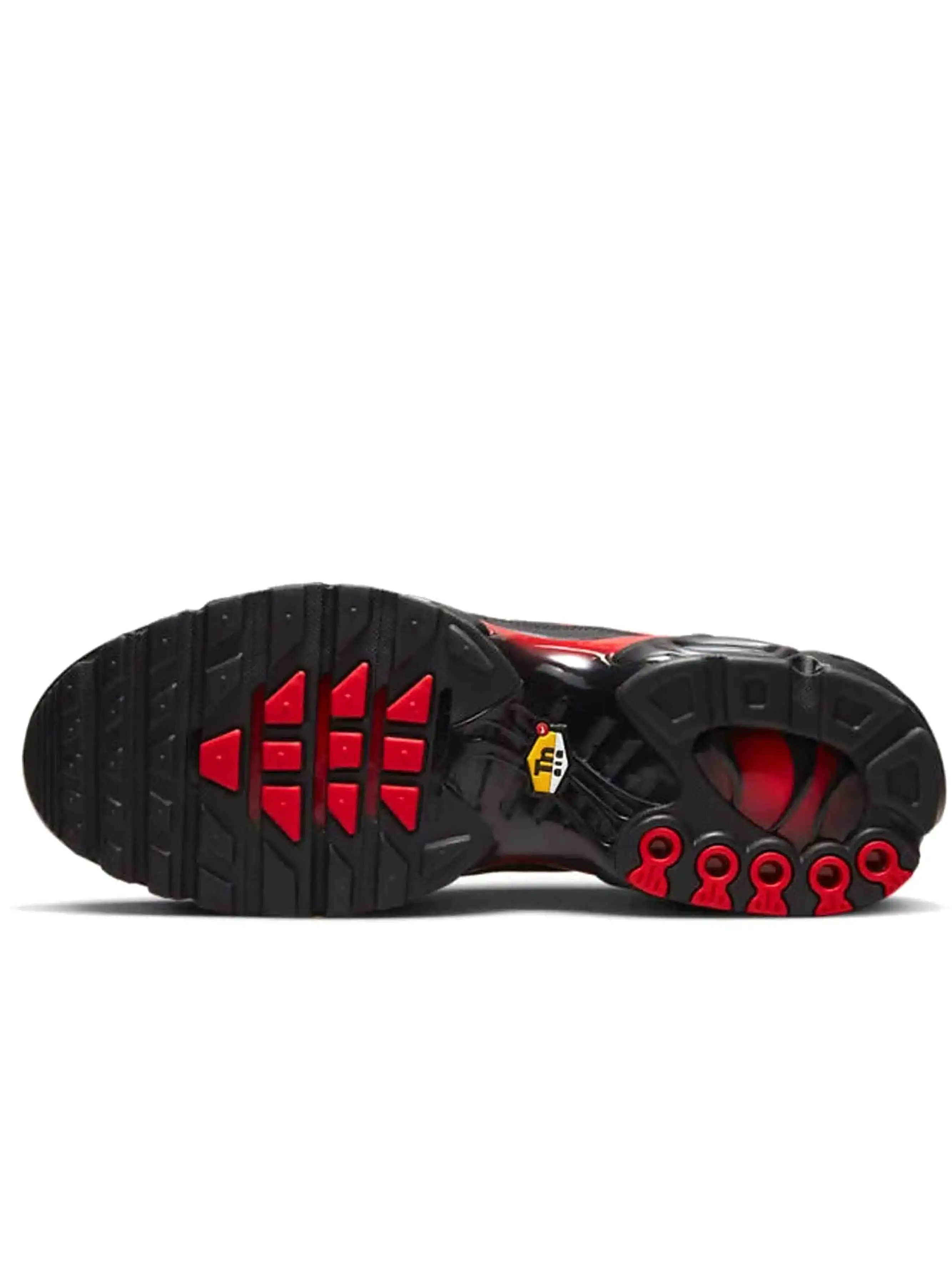 Nike Air Max Plus Bred Reflective