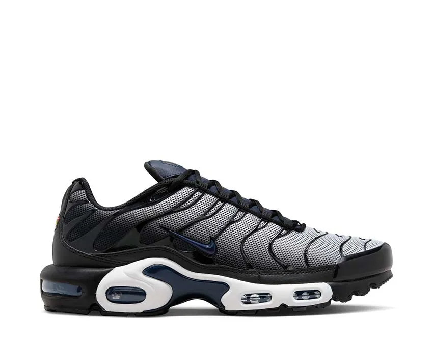 Nike Air Max Plus SE