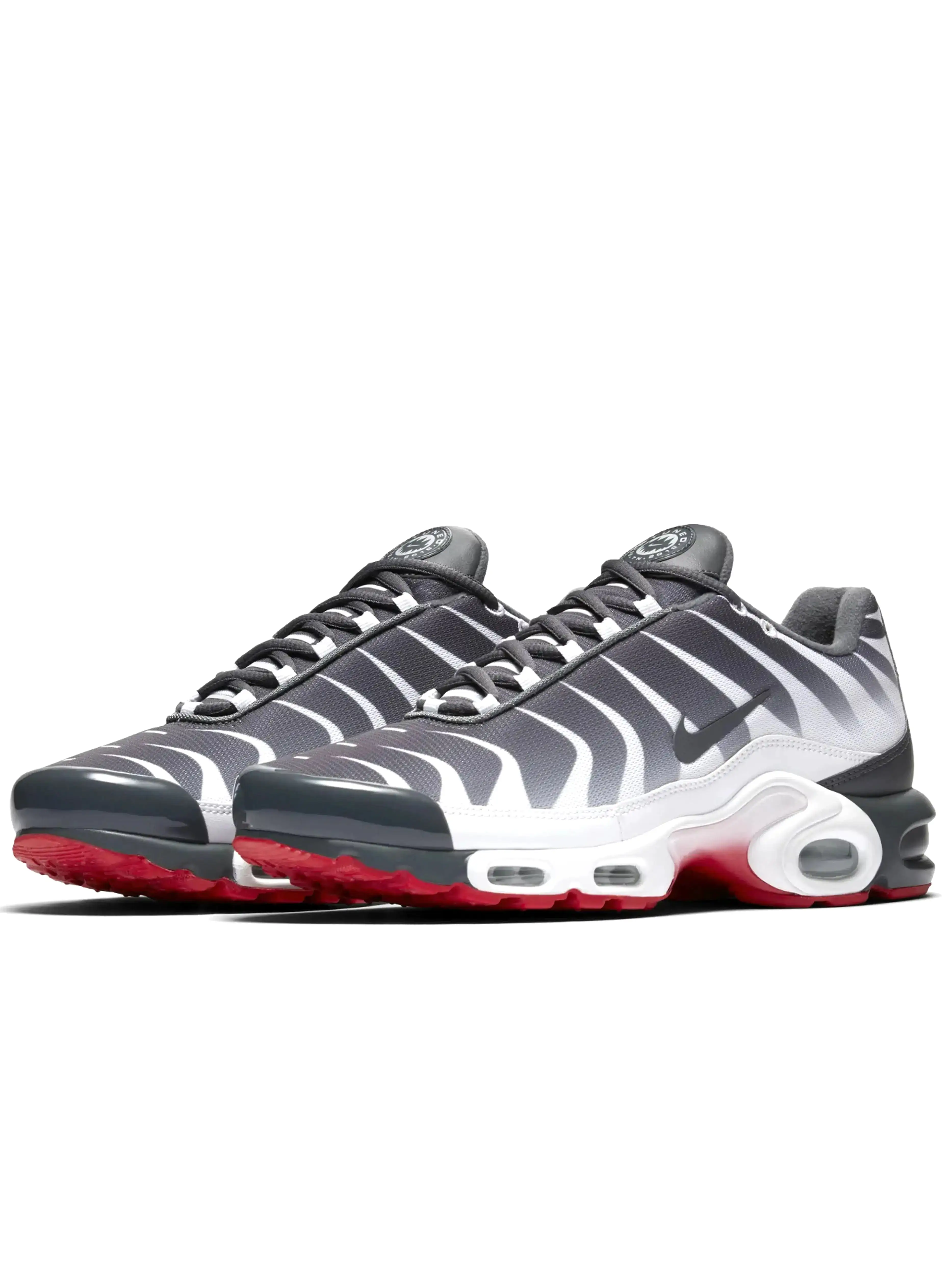 Nike Air Max Plus TN Before The Bite