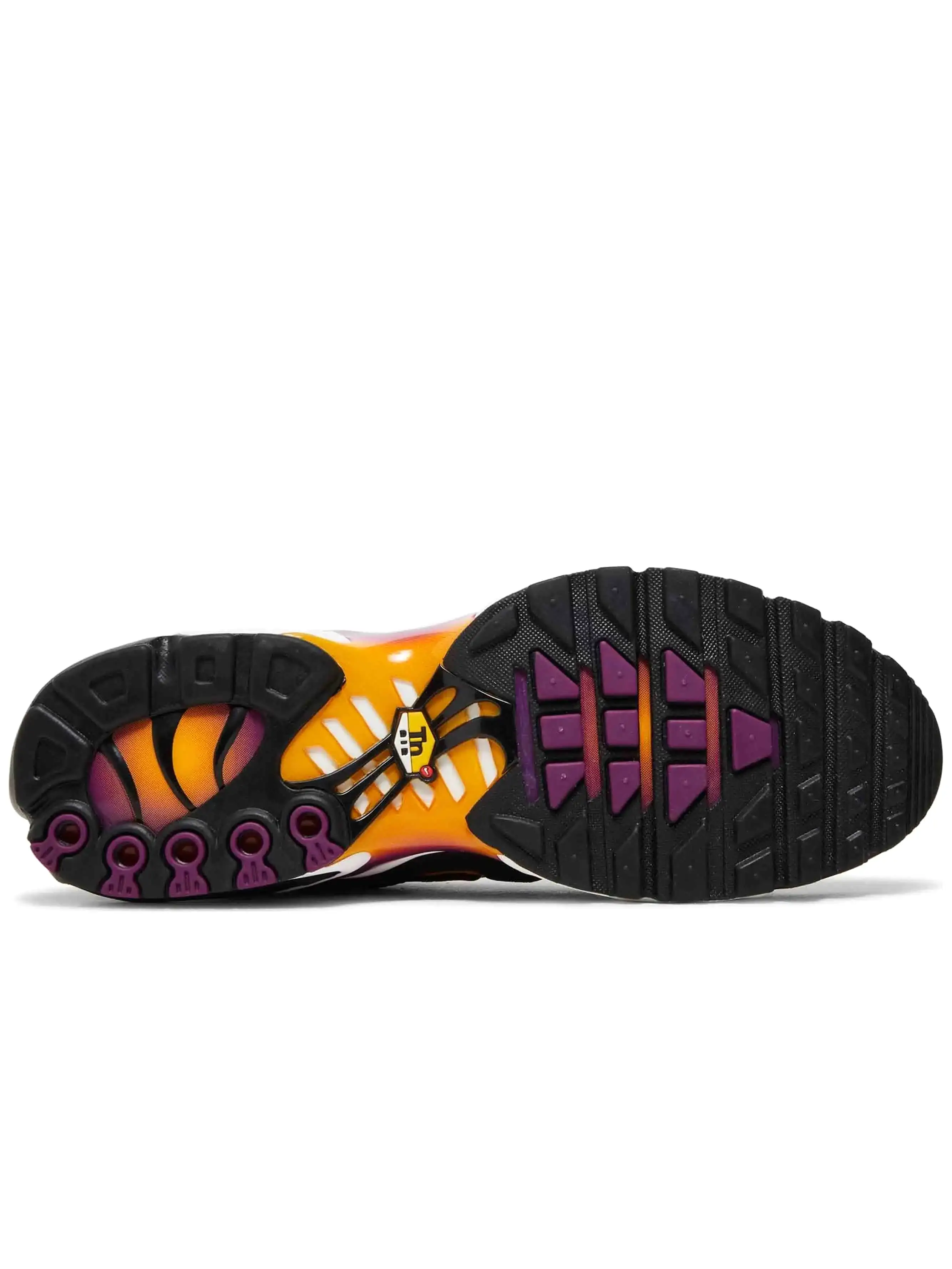 Nike Air Max Plus University Gold Viotech Purple