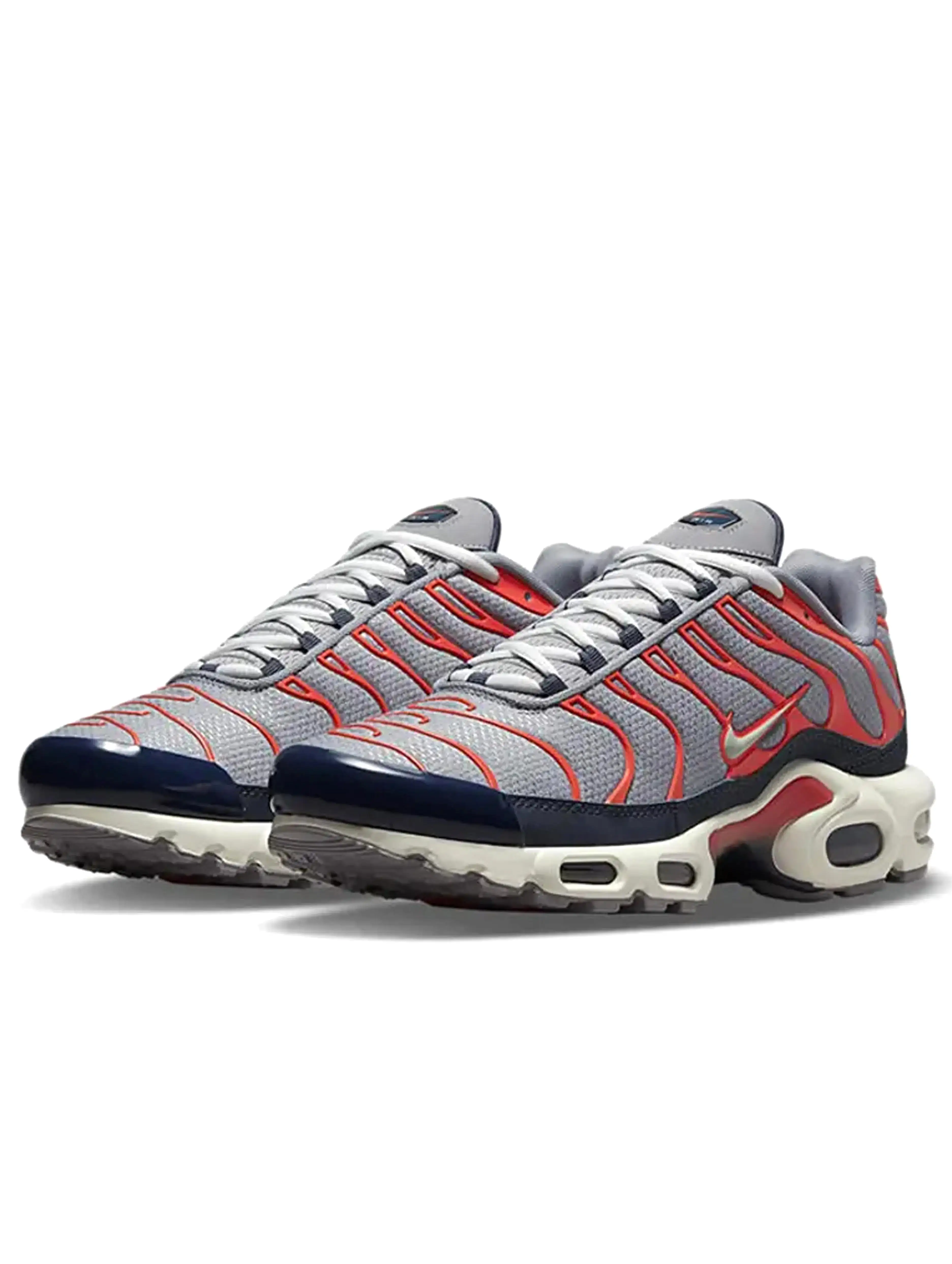 Nike Air Max Plus USA Grey